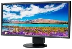 NEC EA294WMi-BK