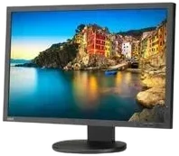NEC P243W-BK