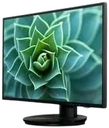 V7 V7 L238DPH-2NH 23.8" Full HD LED LCD Monitor - 16:9